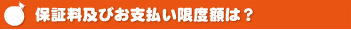 上限金額